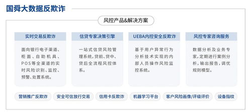 國舜股份 業務安全、安全開發與安全服務領域的卓越代表者，引領信息系統集成服務新篇章