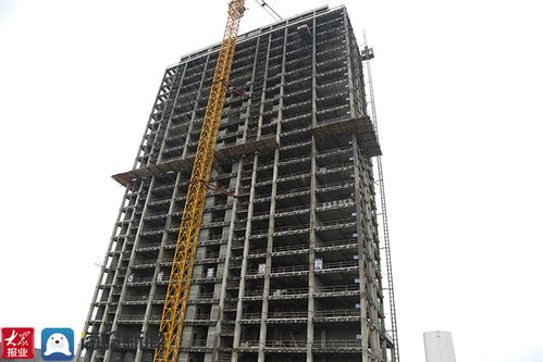 項目為王 落地為大 泰山新聞出版小鎮供應鏈管理服務項目建設“加速跑”